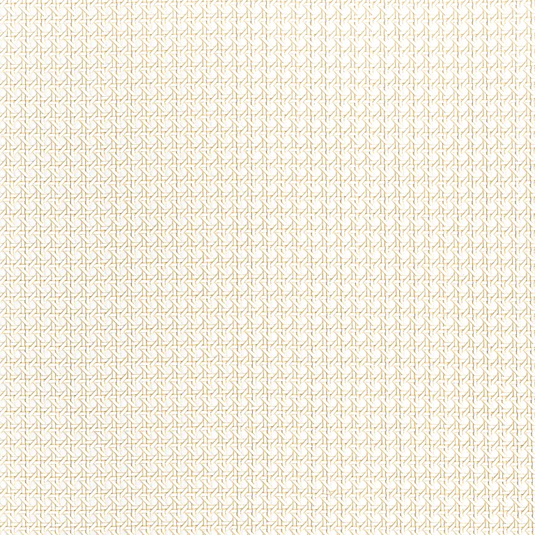 Thibaut Paper Rattan in White (T10388)