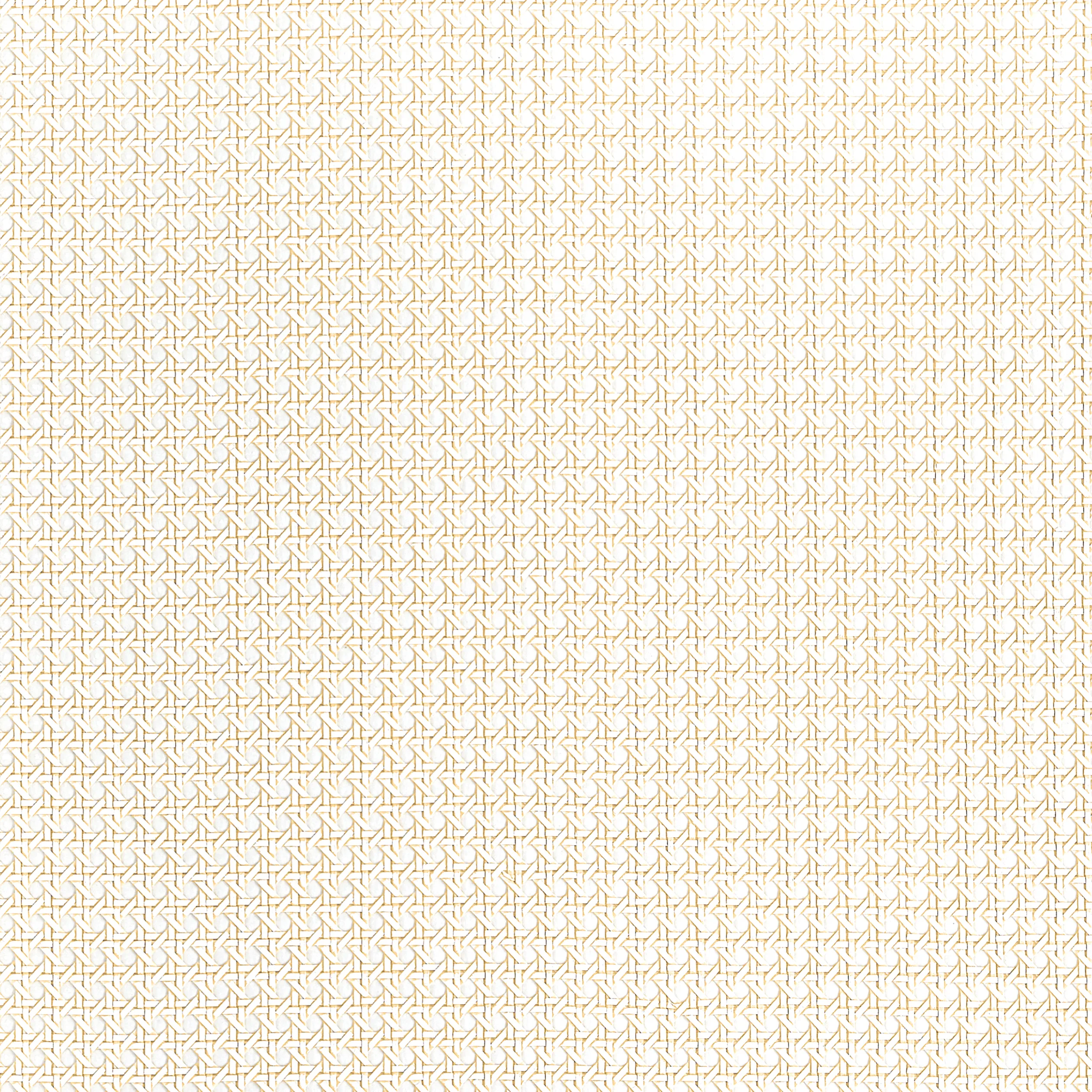T10388 | Paper Rattan – White
