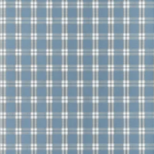 Anna French Payton Check in Blue (AT10708)