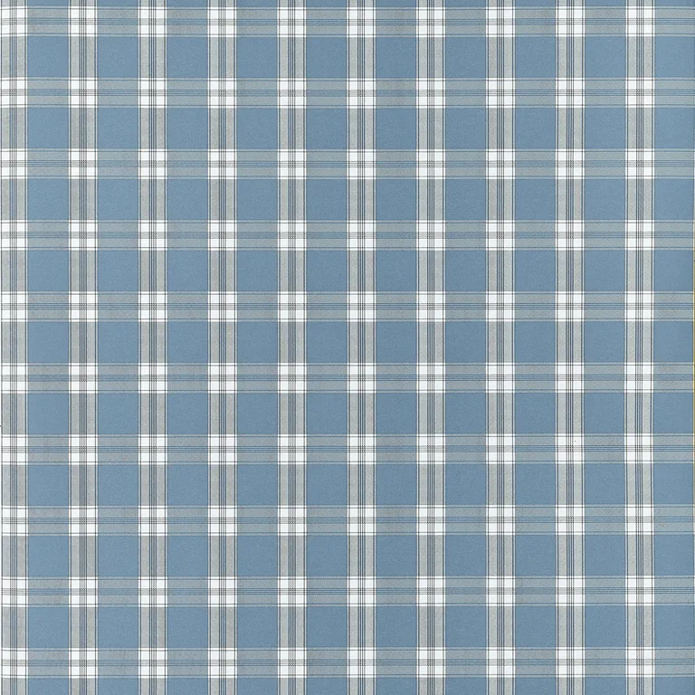 Anna French Payton Check in Blue (AT10708)