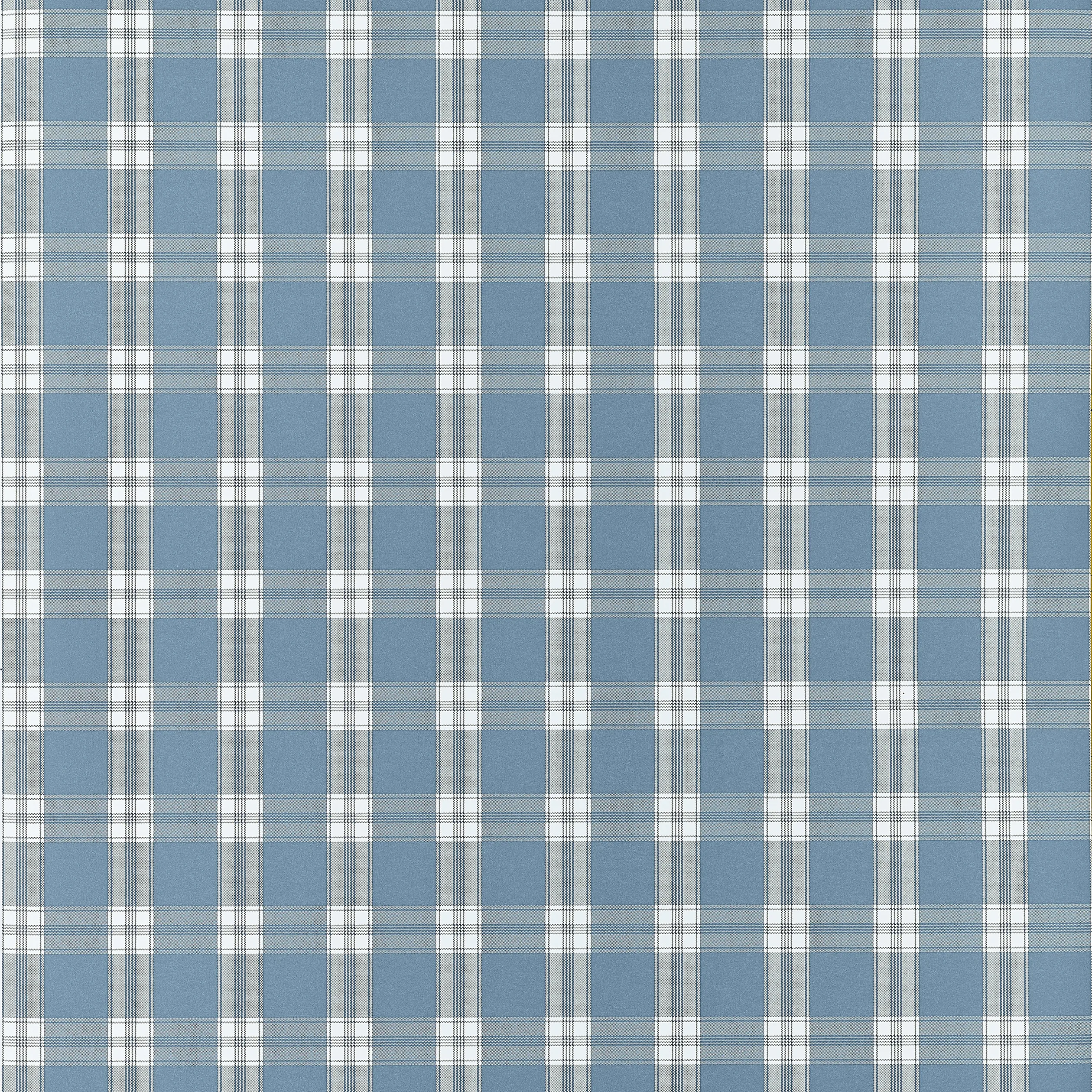 AT10708 | Payton Check – Blue