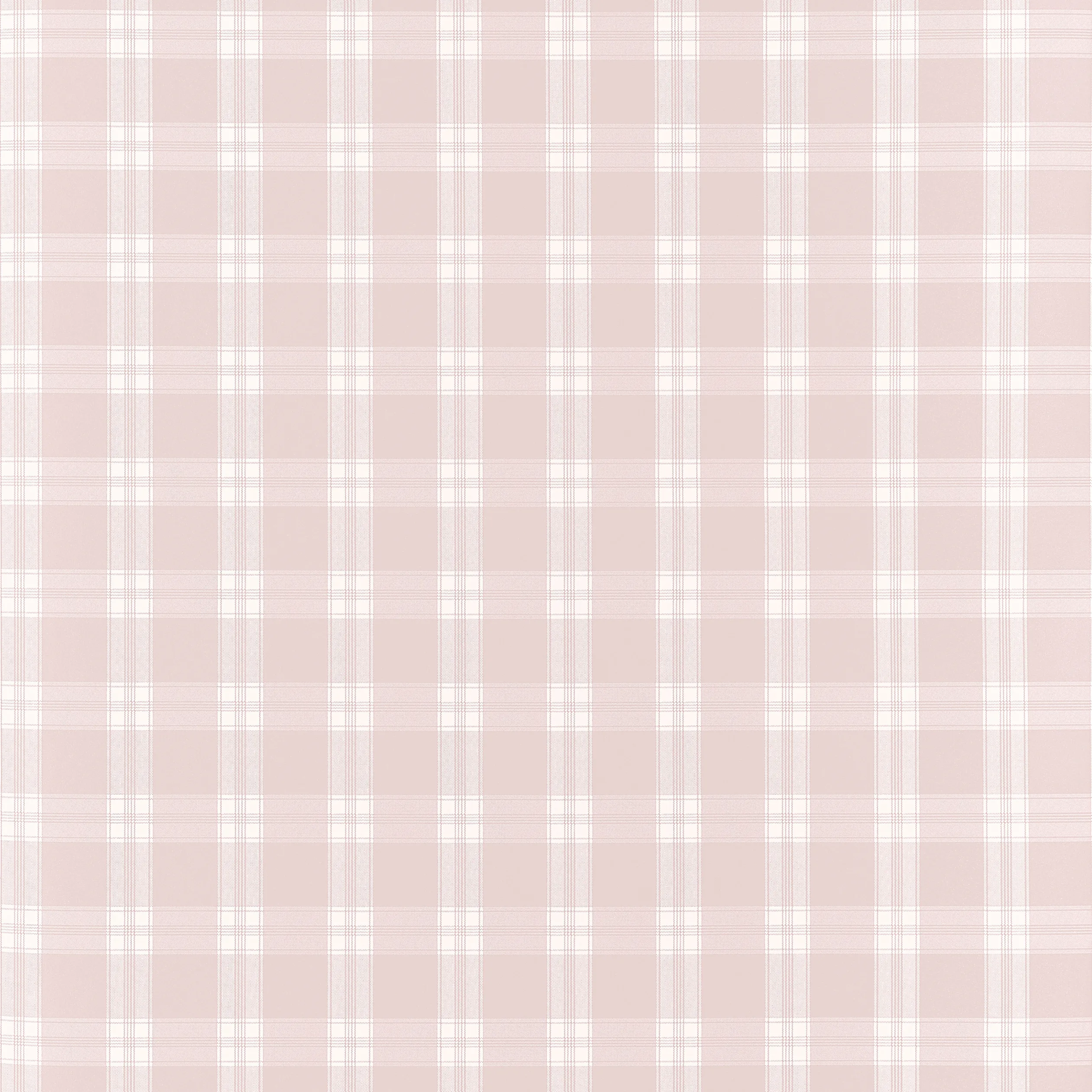AT10707 | Payton Check – Blush