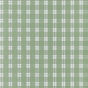 Anna French Payton Check in Green (AT10709)