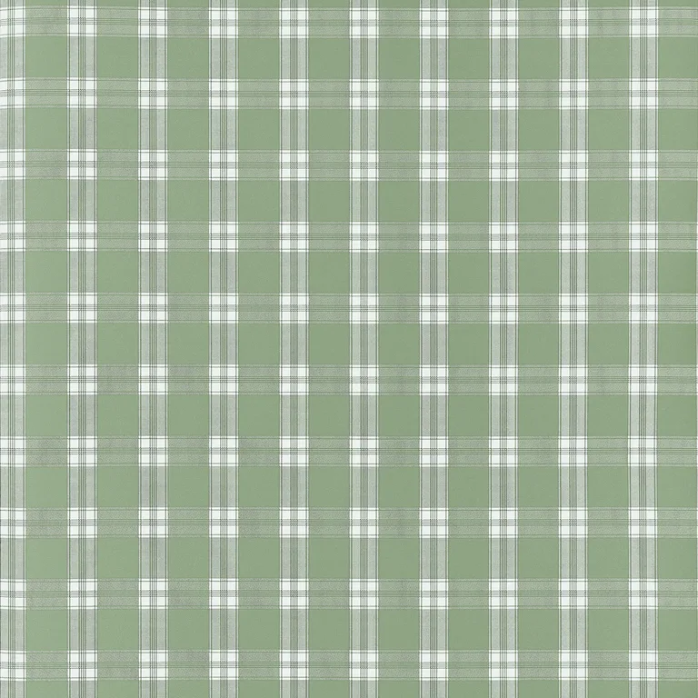 Anna French Payton Check in Green (AT10709)