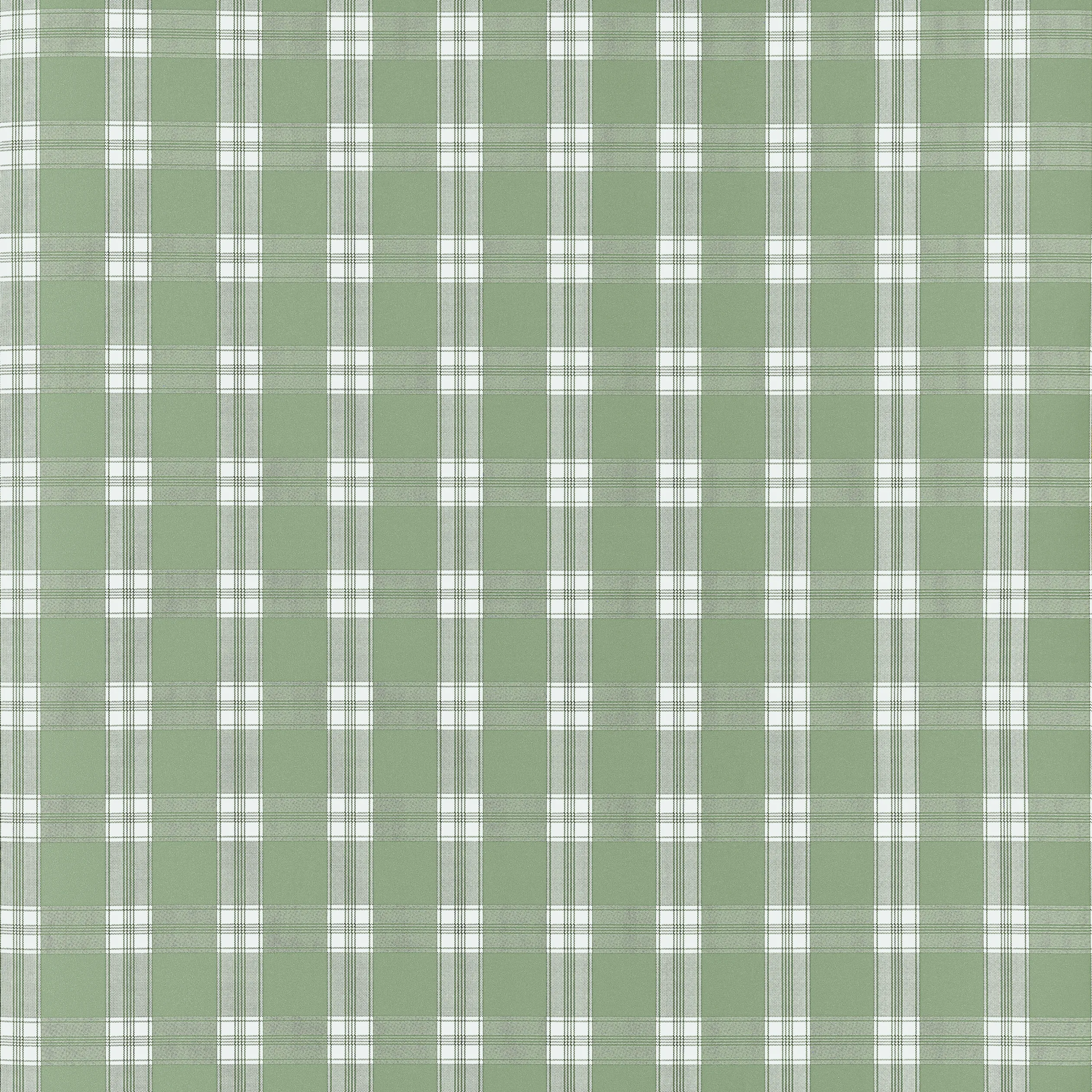 AT10709 | Payton Check – Green