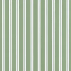 Anna French Payton Stripe in Green (AT10703)