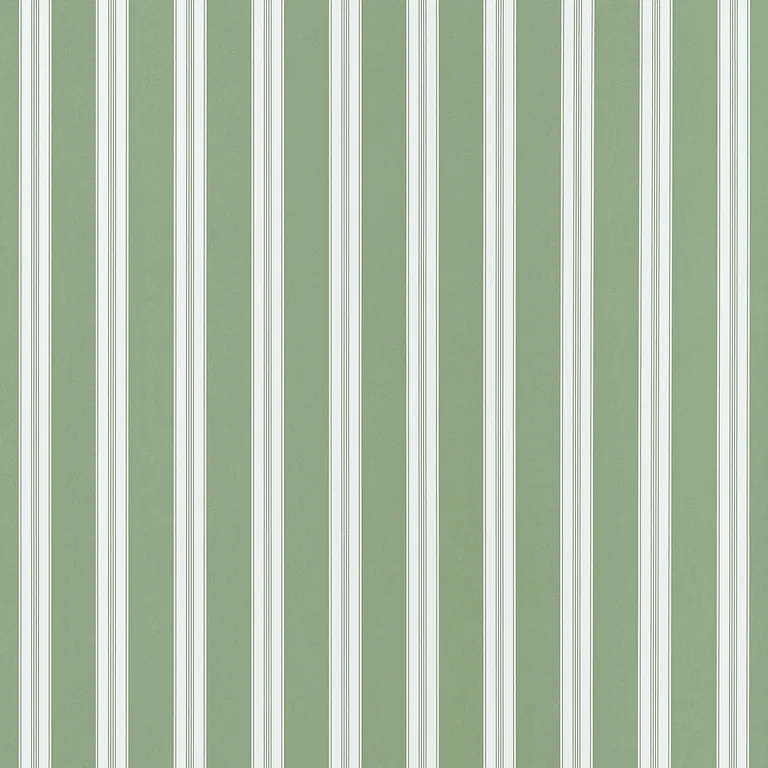 Anna French Payton Stripe in Green (AT10703)