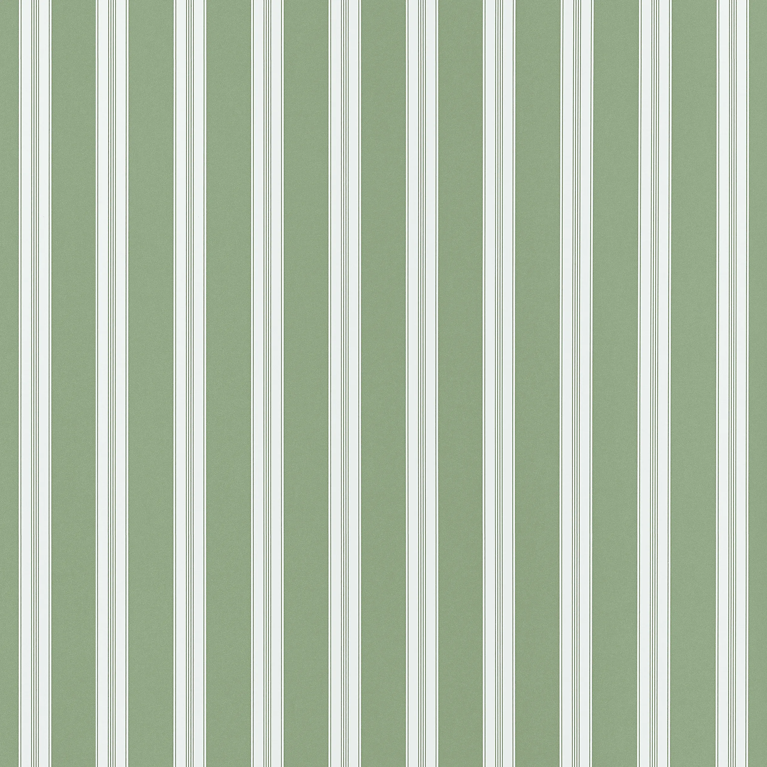 AT10703 | Payton Stripe – Green
