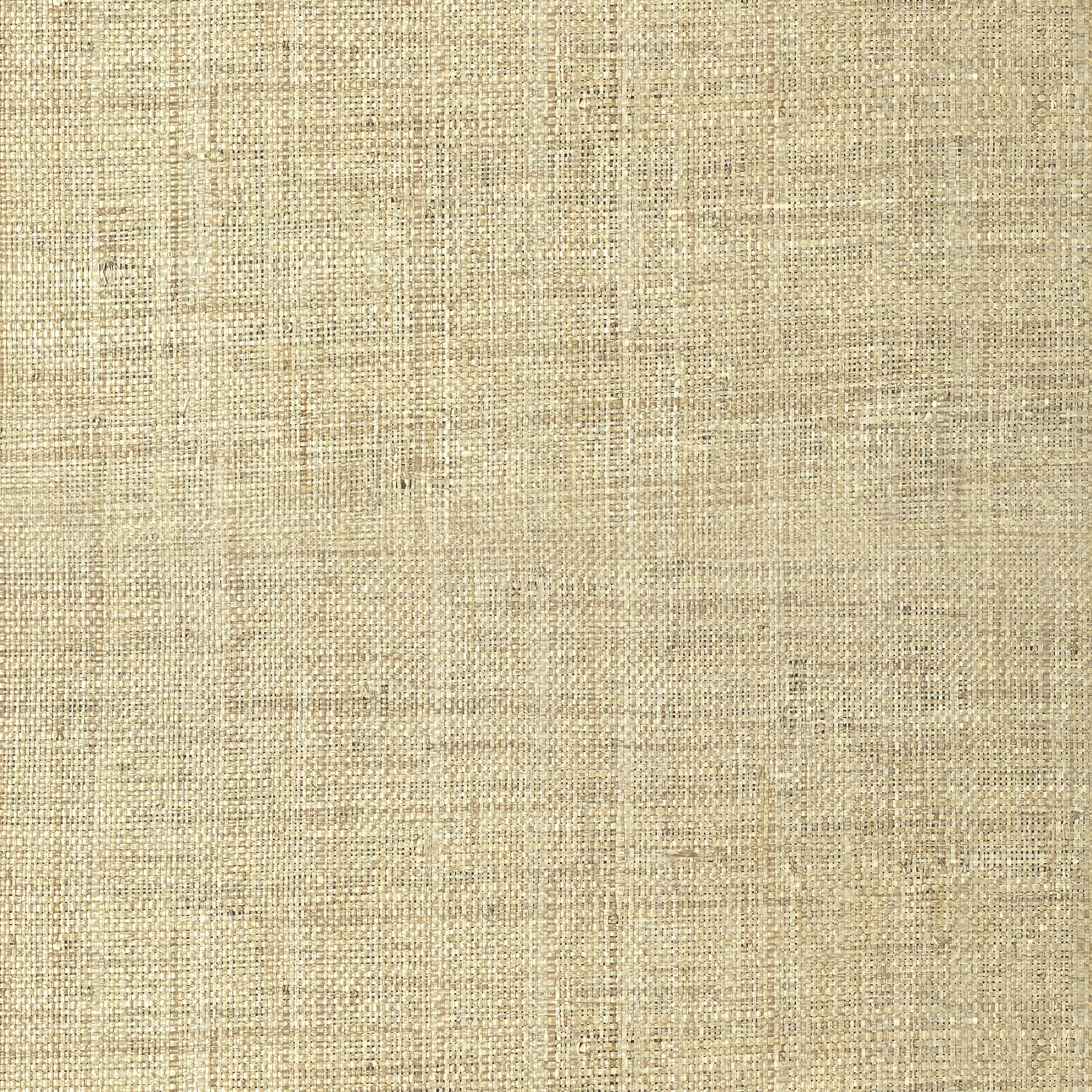 T41107 | Pearl Bay – Tan