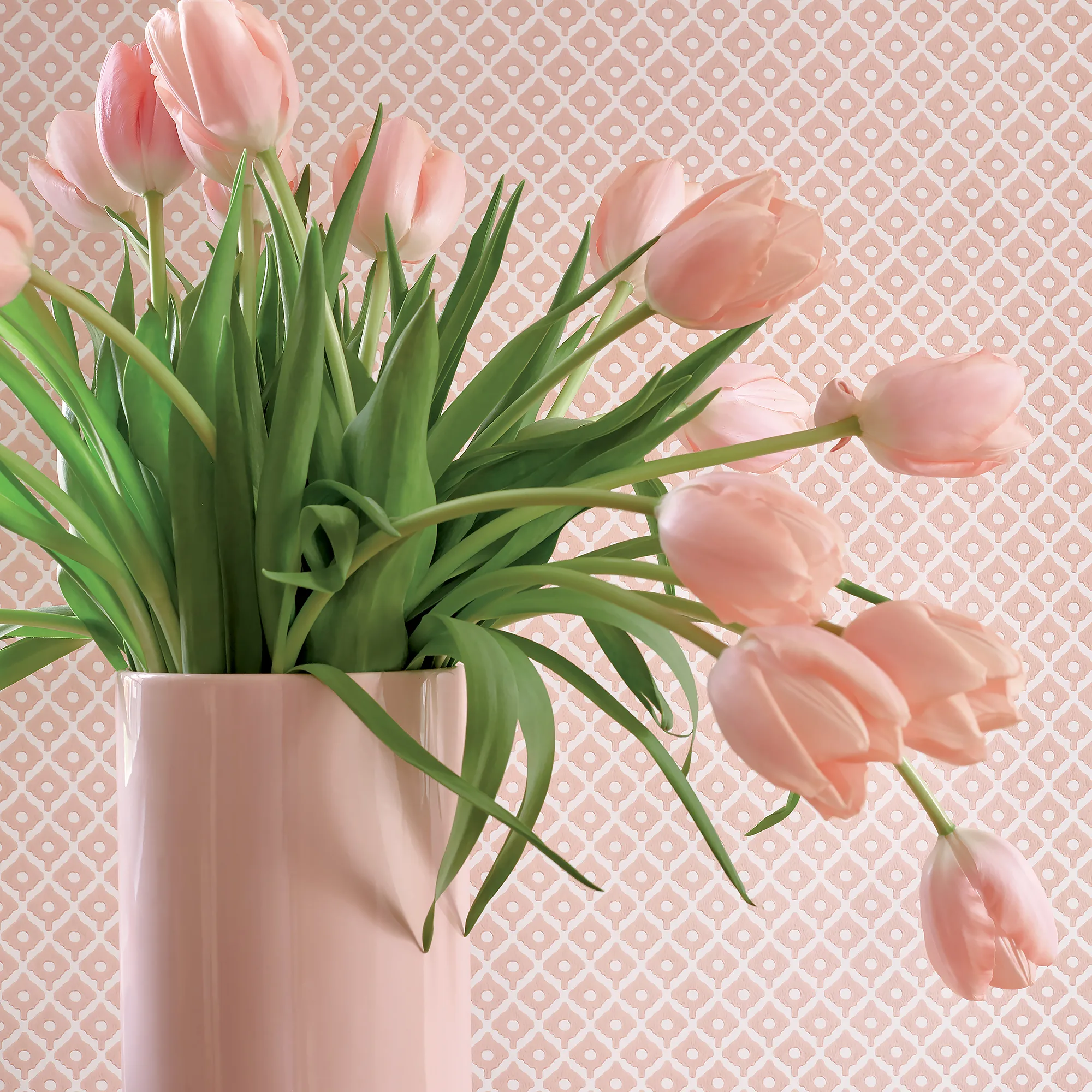 Anna French Petit Arbre in Blush (AT9676)