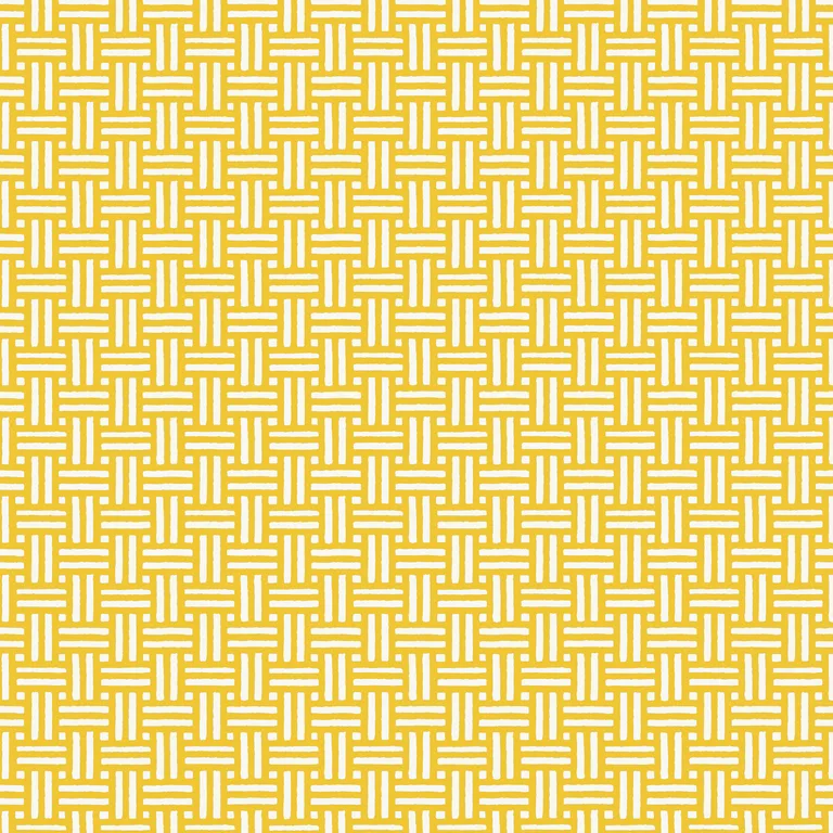 Thibaut Piermont in Yellow (T10626)
