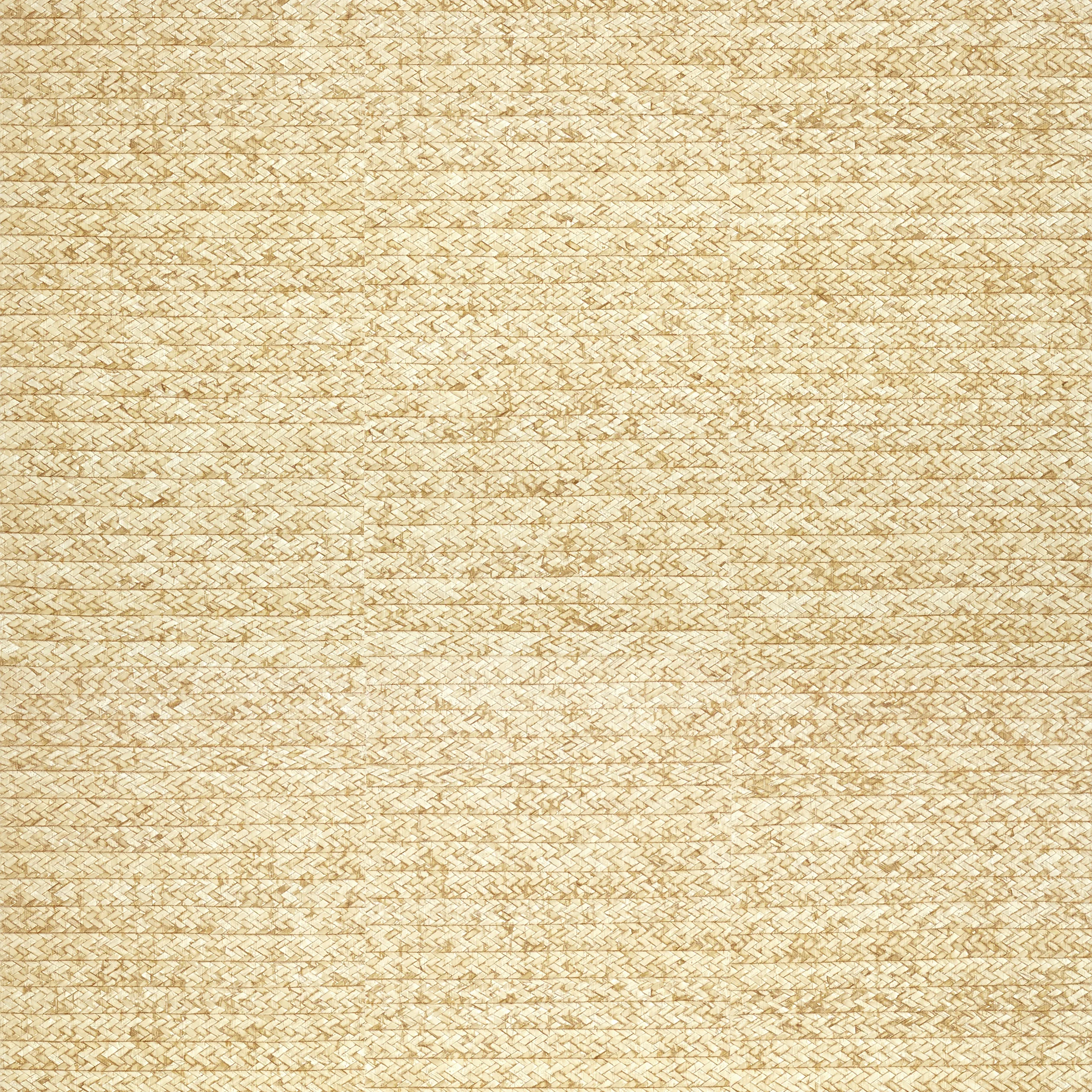 T27042 | Pima Braid – Straw