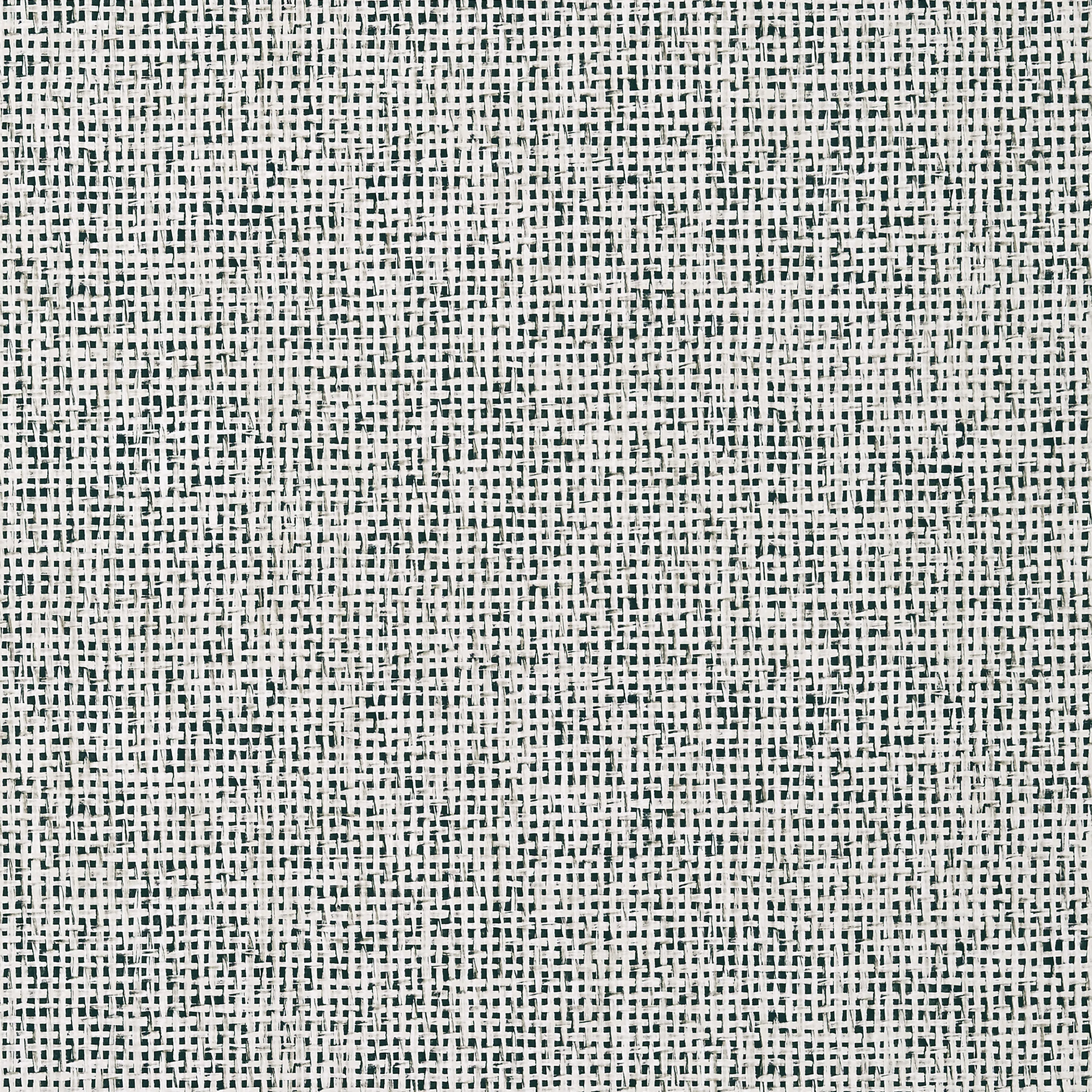 T10152 | Pinellas – Black