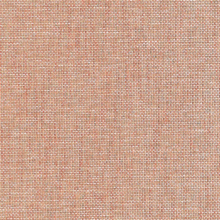 Thibaut Portage in Adobe (T10360)
