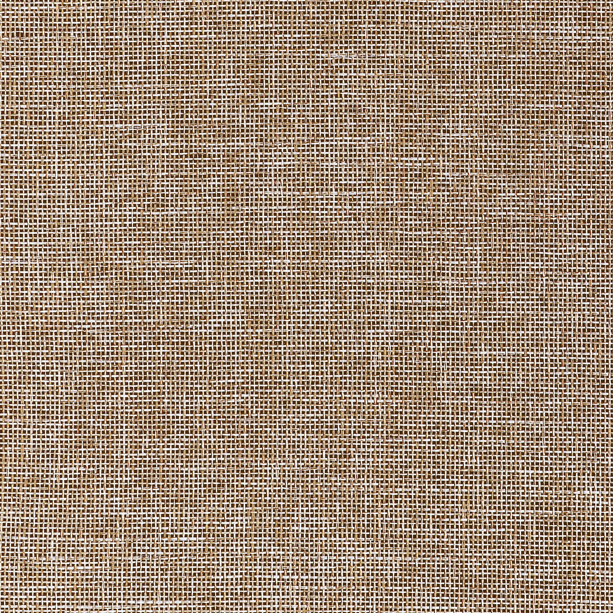T10365 | Portage – Brown