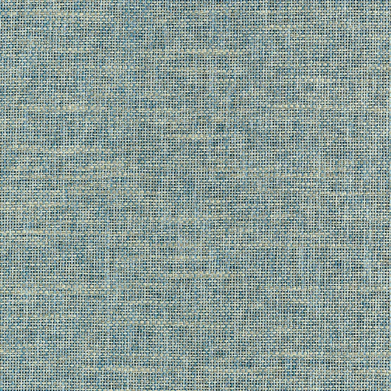 Thibaut Portage in Peacock (T10368)