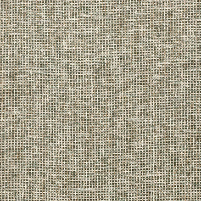 Thibaut Portage in Sage (T10361)