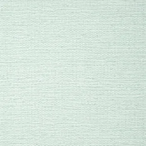 Thibaut Prairie Weave in Aqua (T10936)