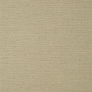 Thibaut Prairie Weave in Brown (T10963)