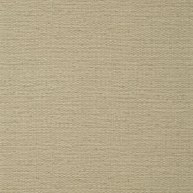 Thibaut Prairie Weave in Brown (T10963)