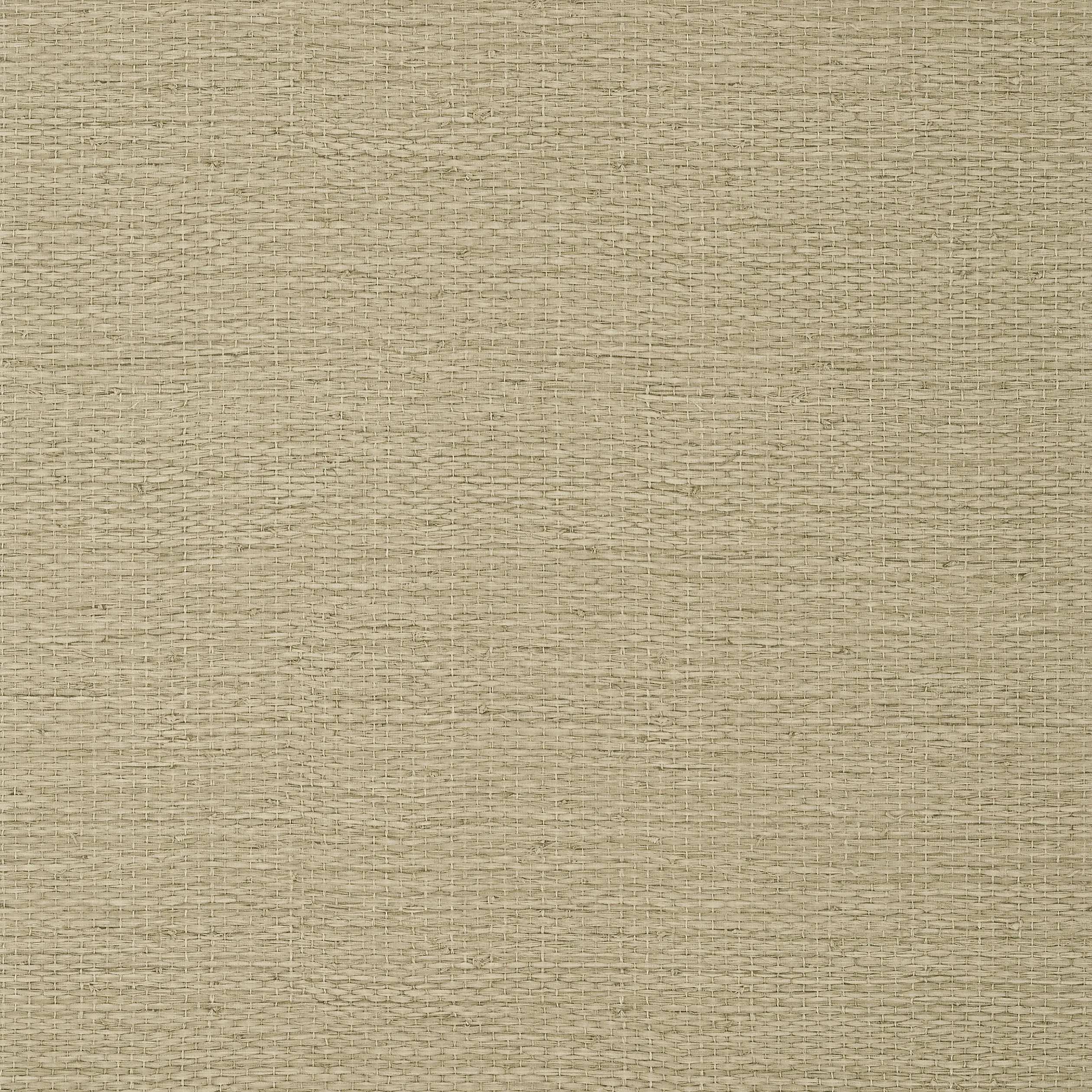 T10963 | Prairie Weave – Brown