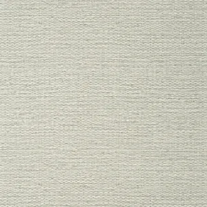 Thibaut Prairie Weave in Fog (T10934)
