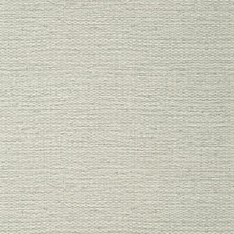 Thibaut Prairie Weave in Fog (T10934)