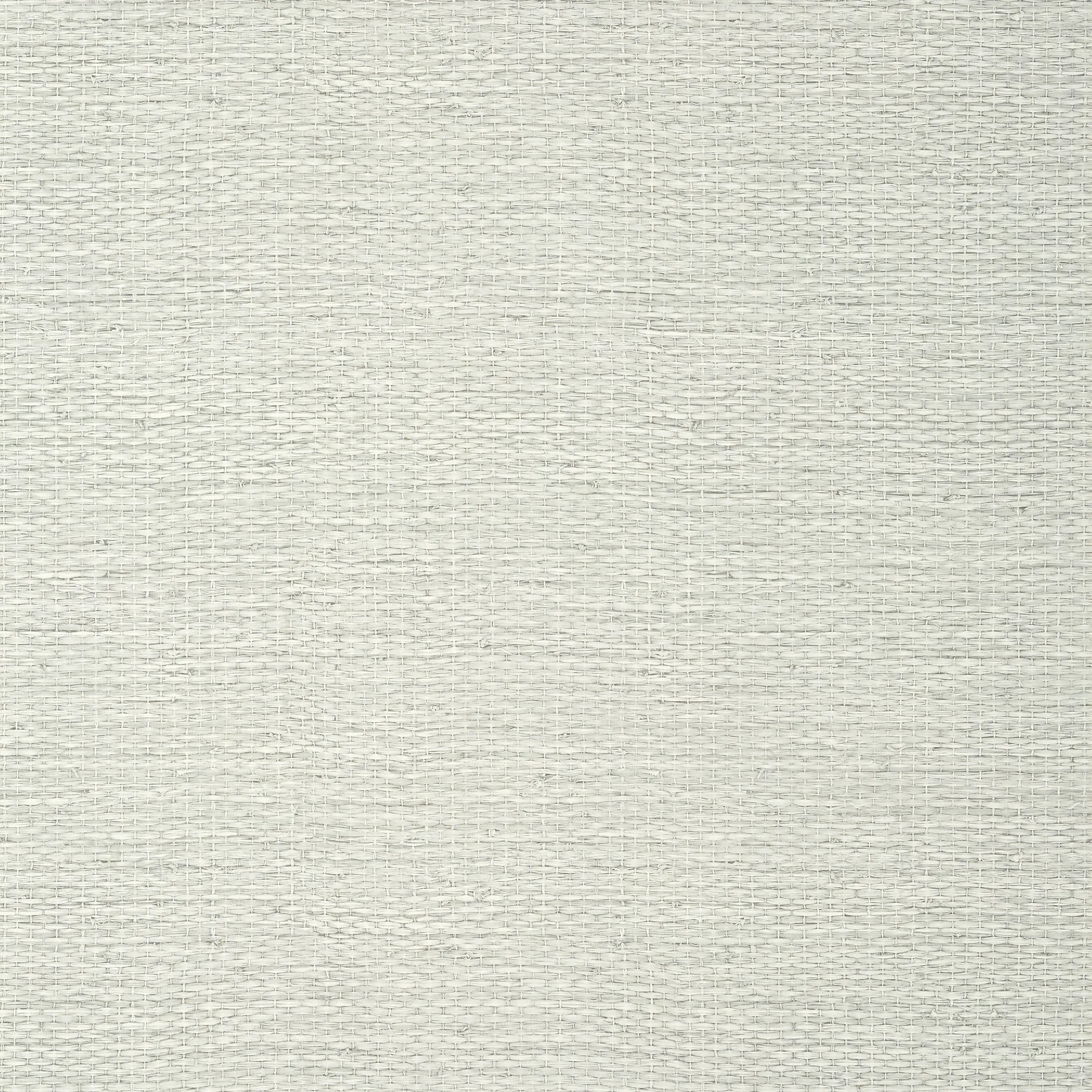 Thibaut Prairie Weave in Sterling (T10933)