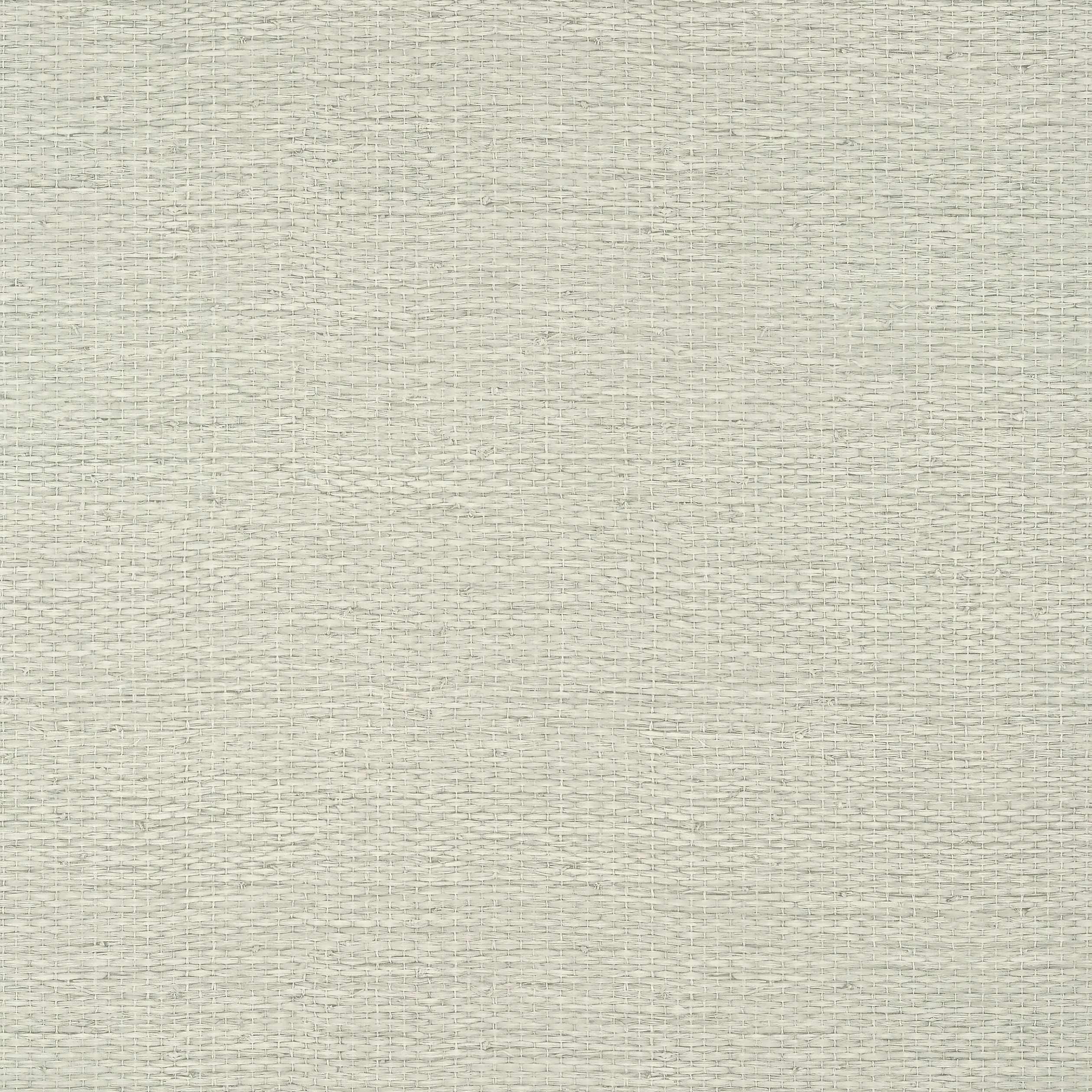 Thibaut Prairie Weave Wide Width in Flax (TWW10932)