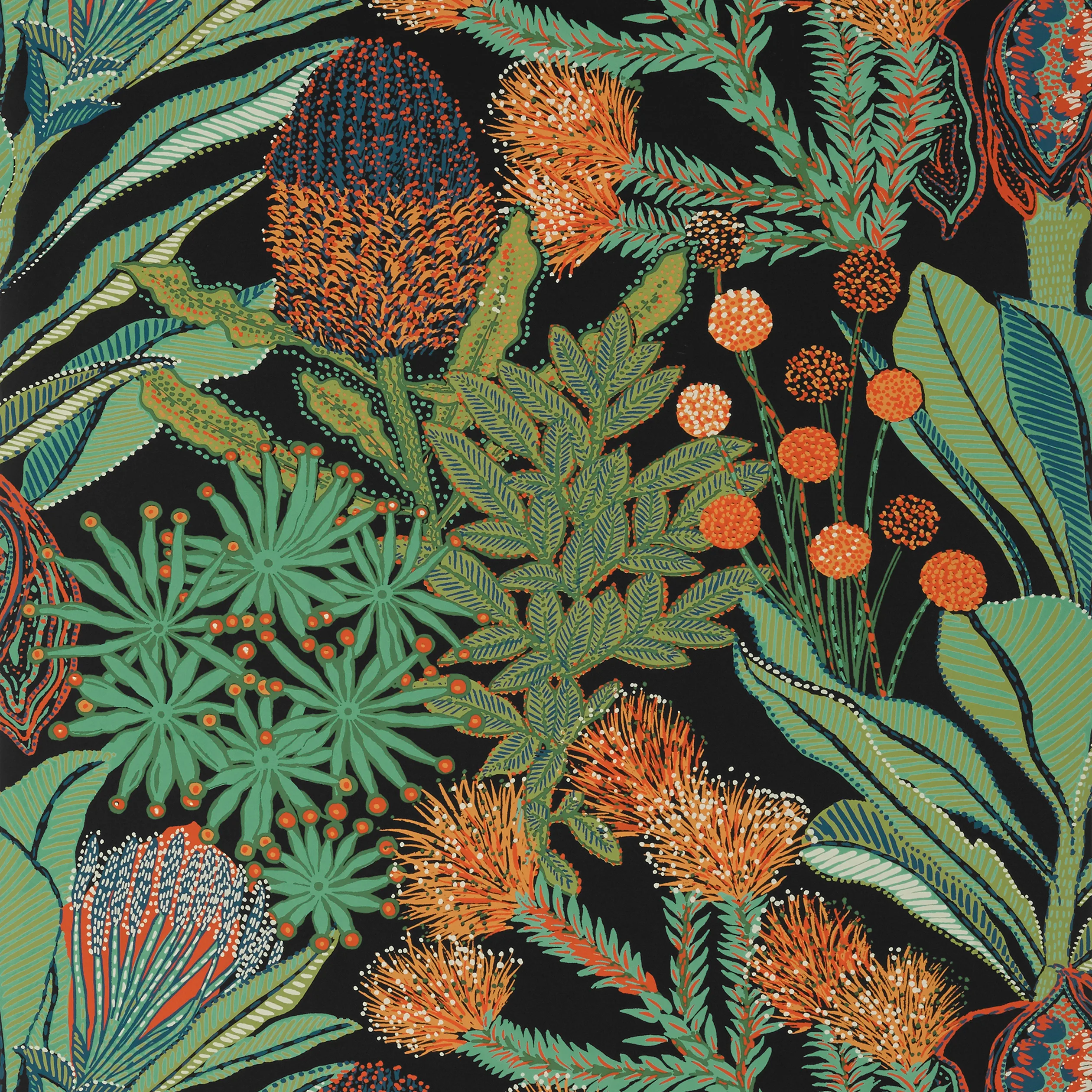 T13926 | Protea – Black