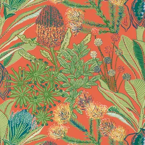 Thibaut Protea in Coral (T13906)
