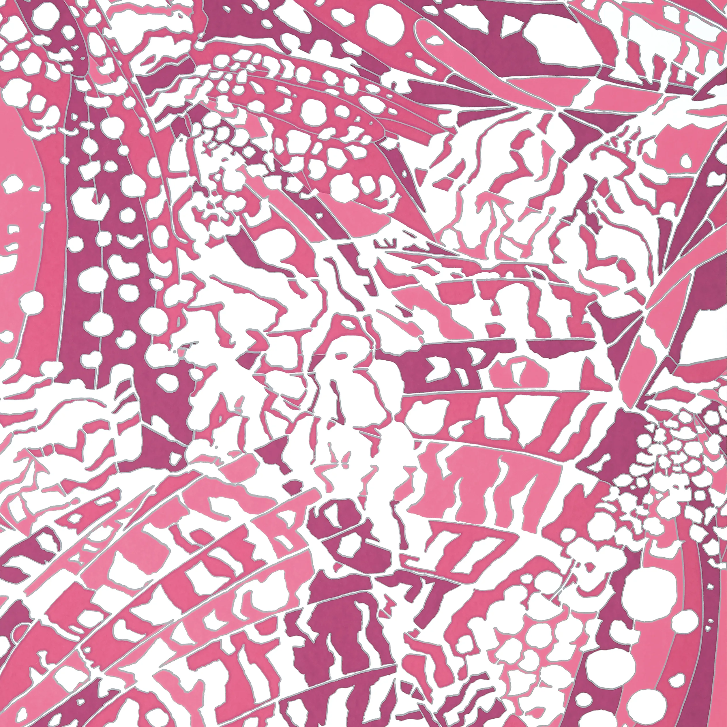 Anna French Puccini in Fuchsia (AT9861)
