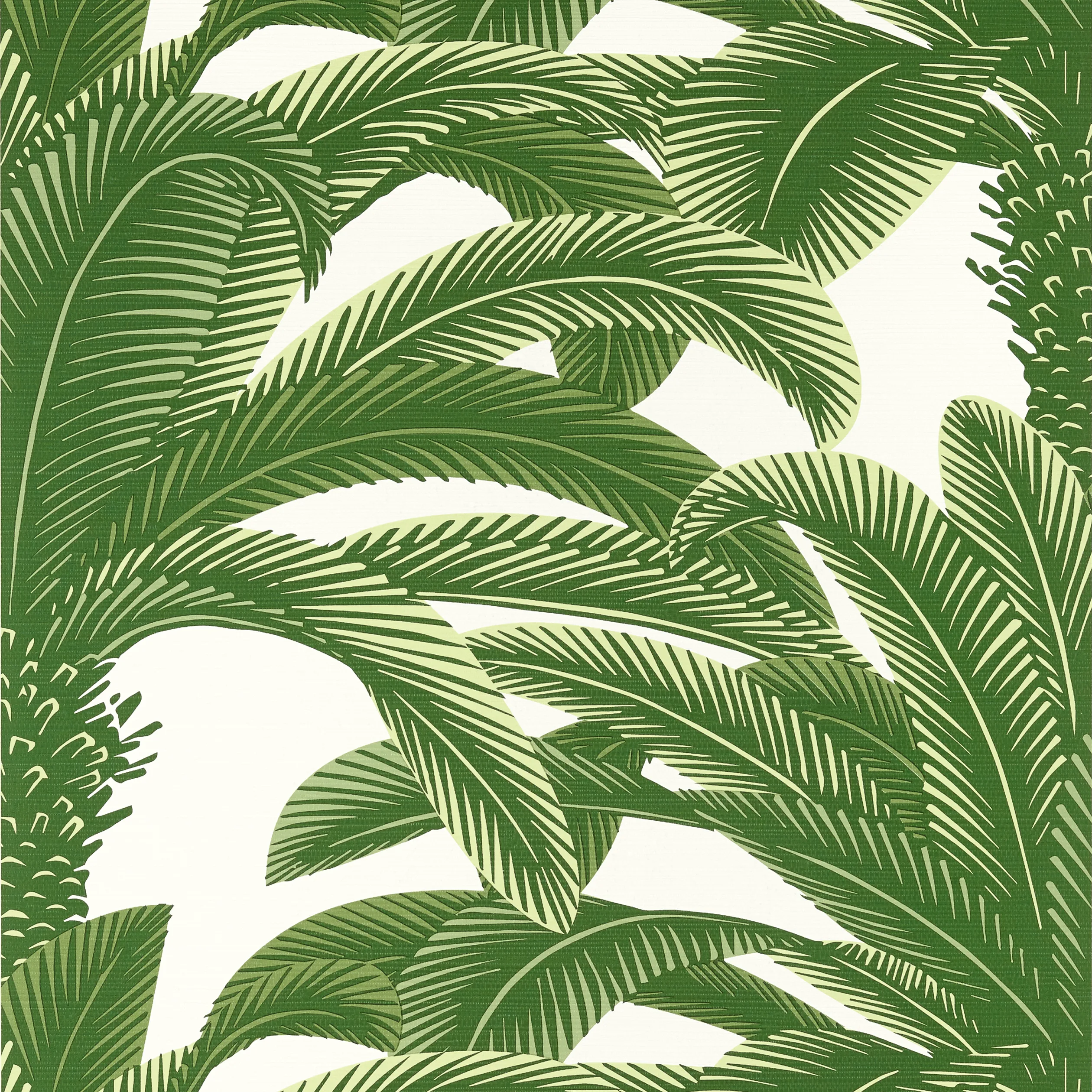 T13907 | Queen Palm – Green