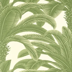 Thibaut Queen Palm in Sage (T13911)