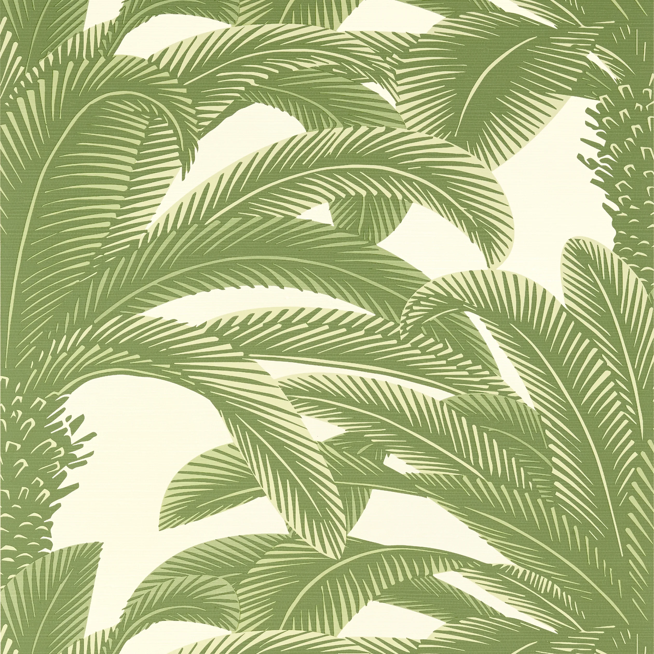T13911 | Queen Palm – Sage