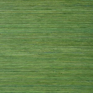 Thibaut Raffia Palm in Emerald Green (T24074)