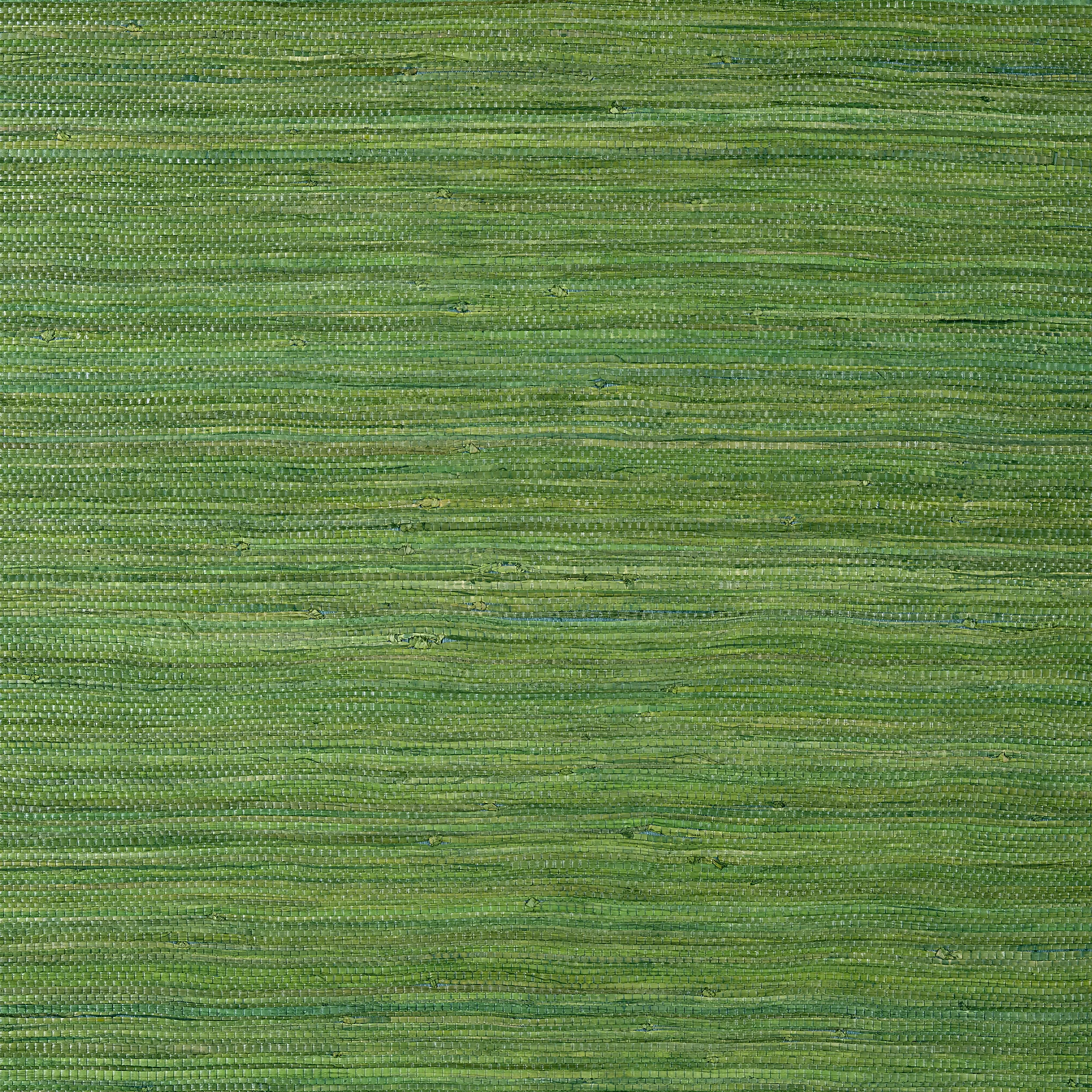 T24074 | Raffia Palm – Emerald Green