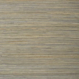 Thibaut Raffia Palm in Grey (T24067)