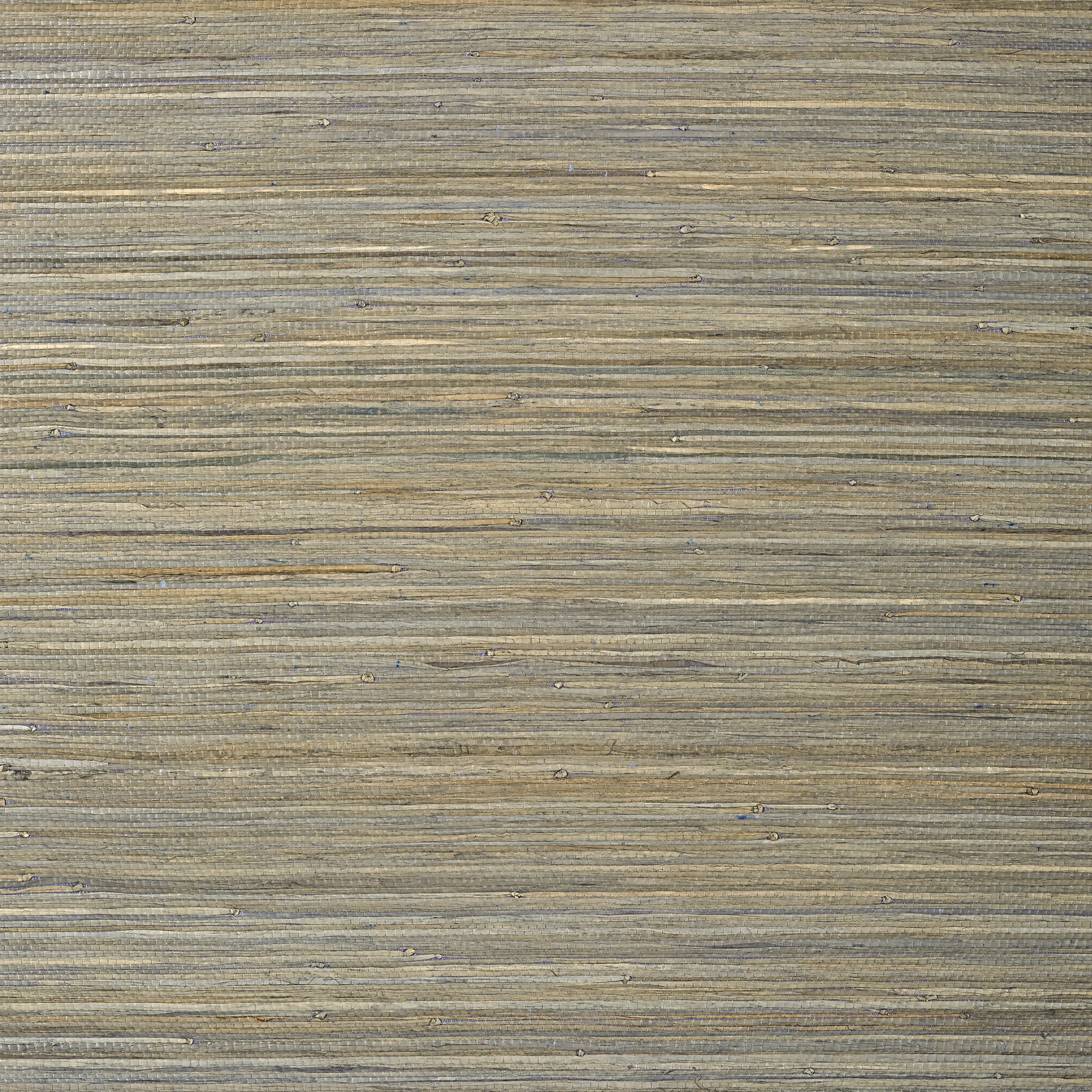 T24067 | Raffia Palm – Grey