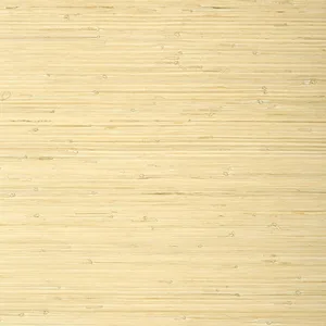 Thibaut Raffia Palm in Natural (T24065)