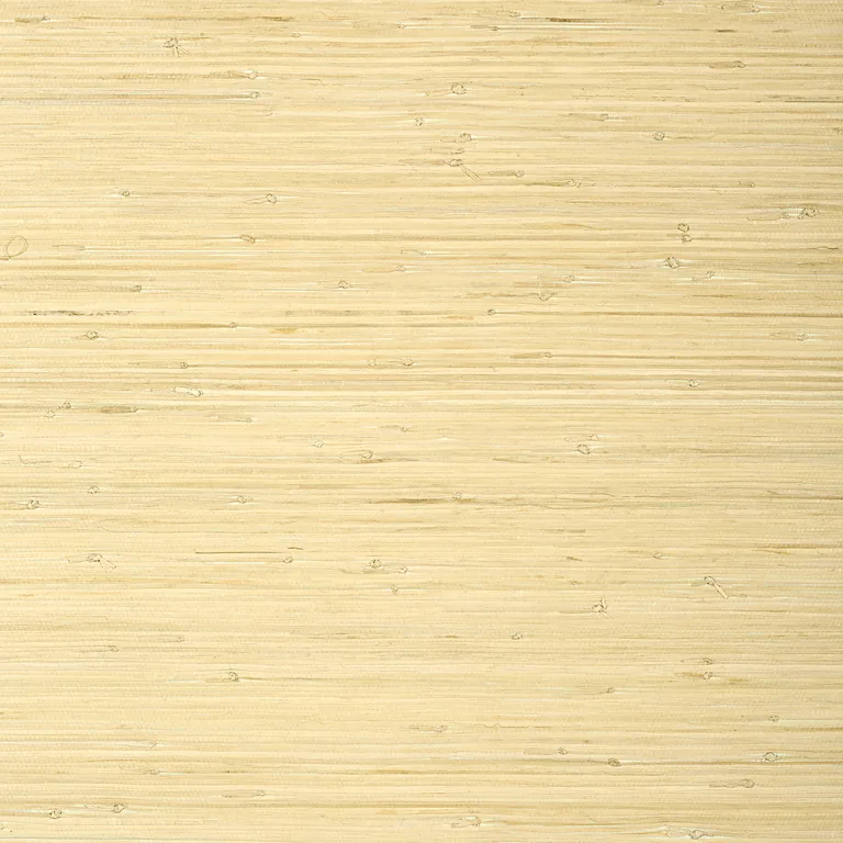 Thibaut Raffia Palm in Natural (T24065)