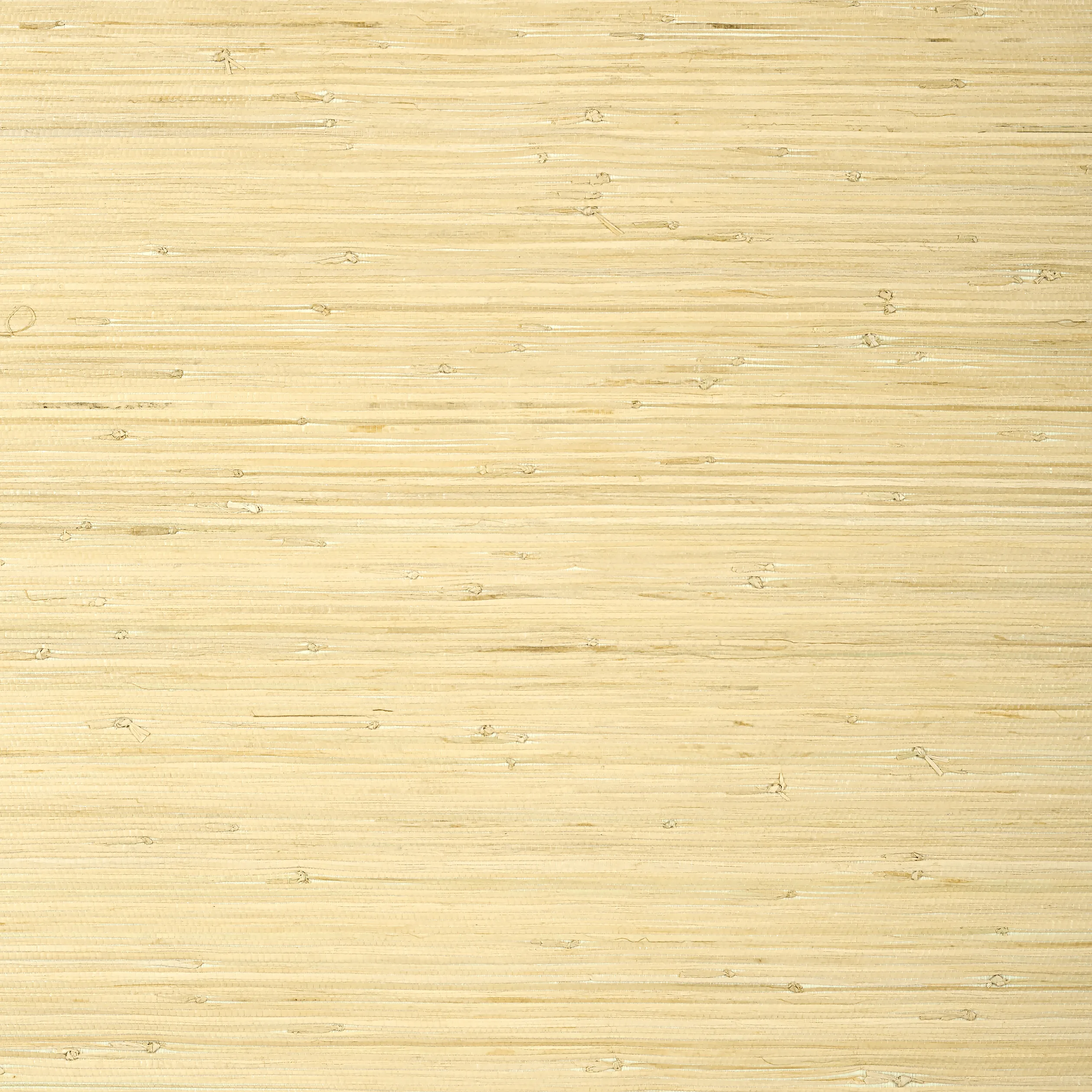 T24065 | Raffia Palm – Natural