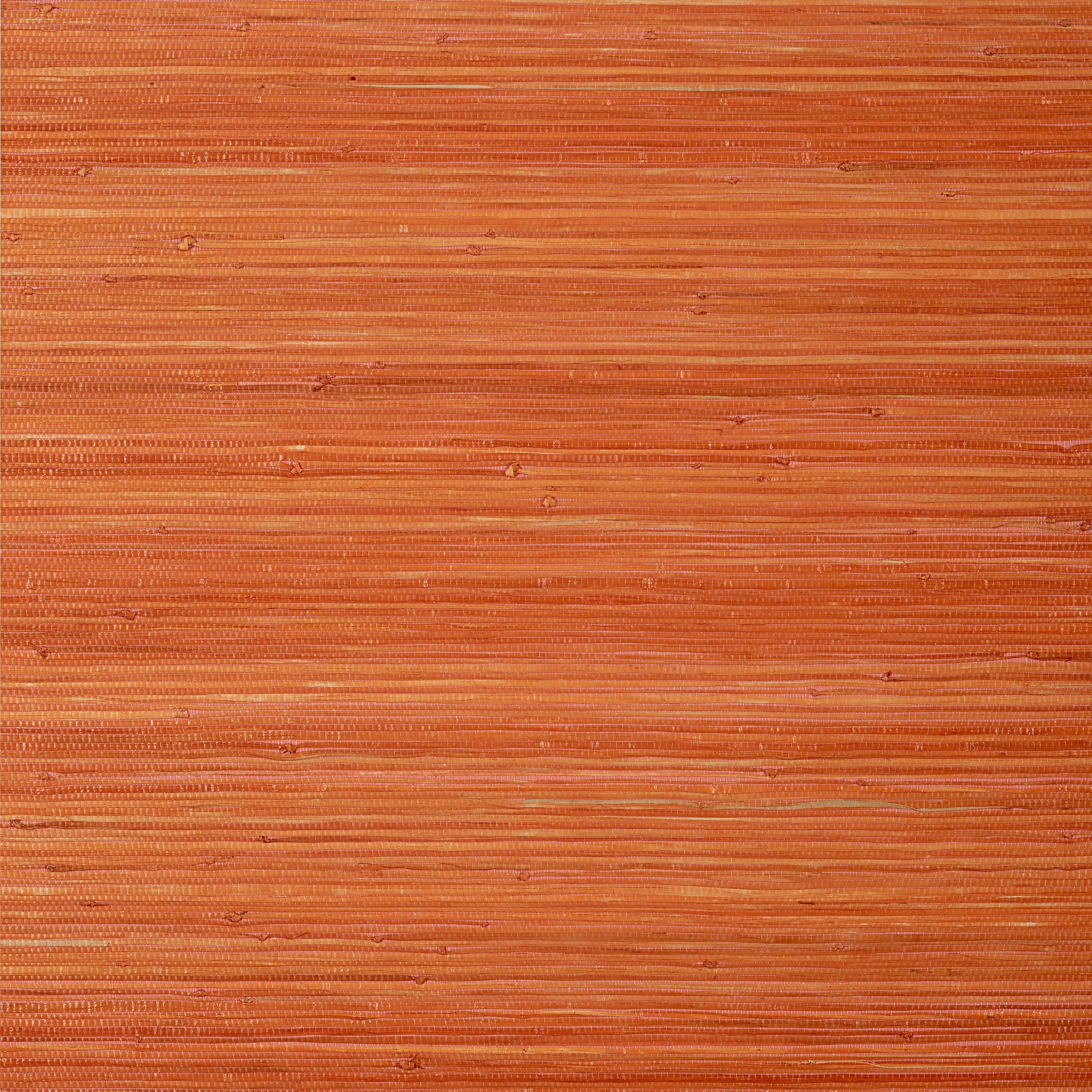 T24072 | Raffia Palm – Orange
