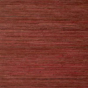 Thibaut Raffia Palm in Sun Baked (T24068)