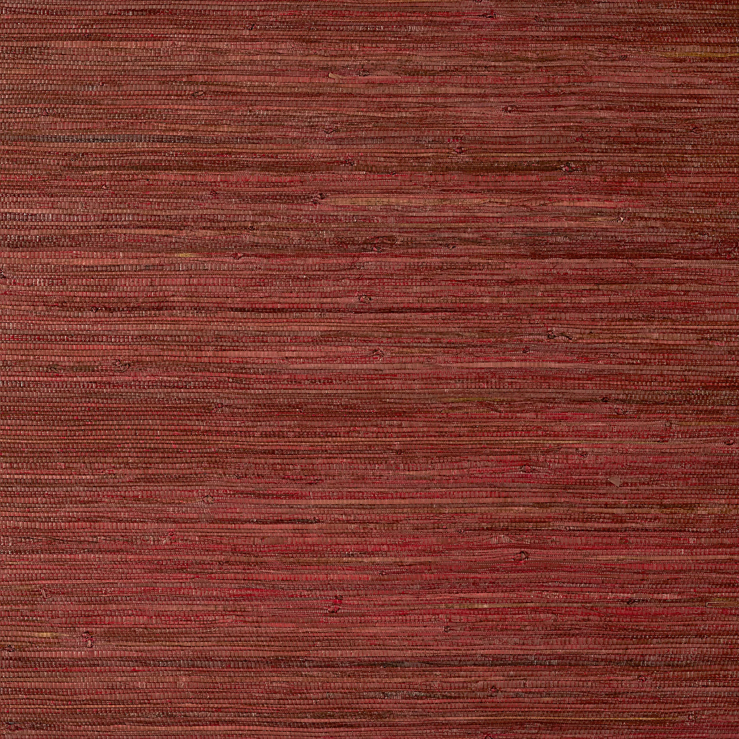T24068 | Raffia Palm – Sun Baked