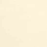 Thibaut Raffia Weave in Cream (T5042)