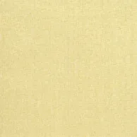 Thibaut Raffia Weave in Tan (T5045)
