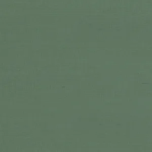 Armani Rafia Plain in Green (9981)