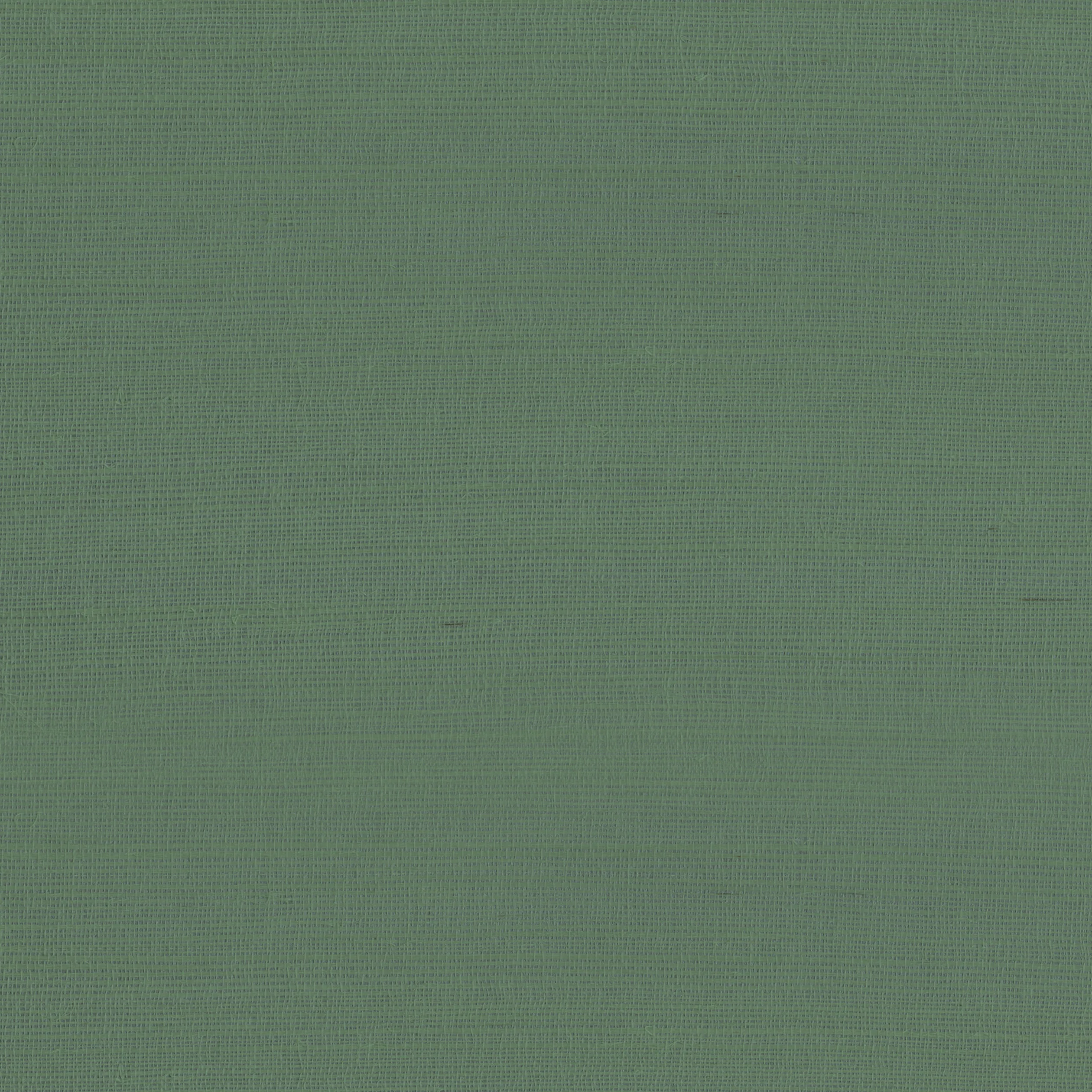 9981 | Rafia Plain – Green