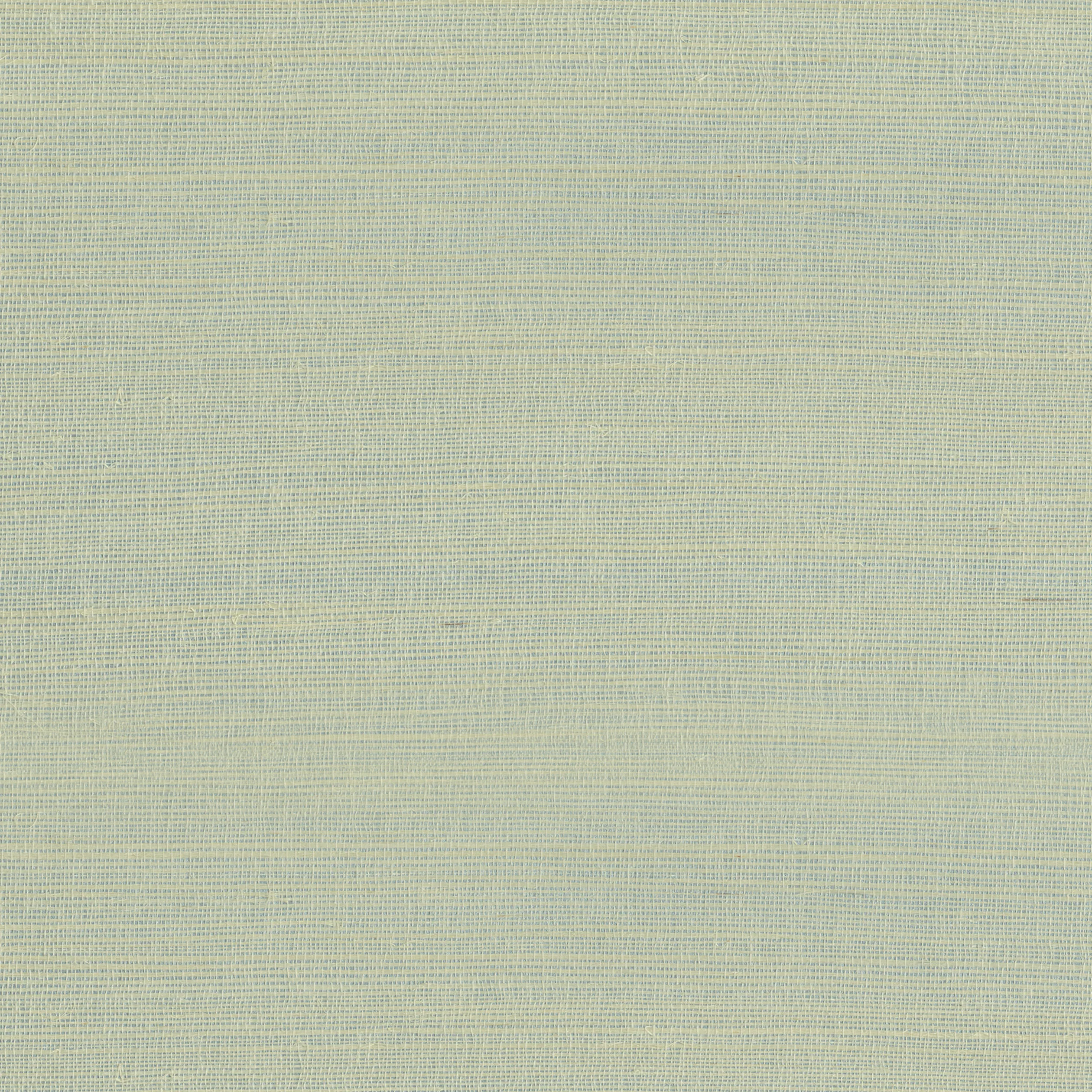 9980 | Rafia Plain – Light Green